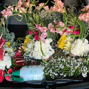 Flowers 1