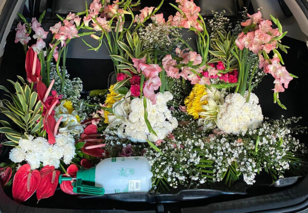Flowers 1
